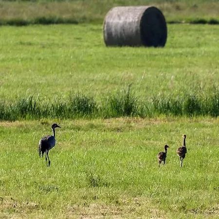 Huettchen Ganzjaehrig Nutzbar Mit Kamin&sauna