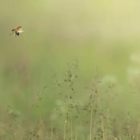 Huettchen Ganzjaehrig Nutzbar Mit Kamin&sauna Dom wakacyjny *