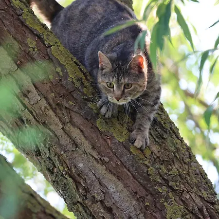Huettchen Ganzjaehrig Nutzbar Mit Kamin&sauna Dom wakacyjny Dargun