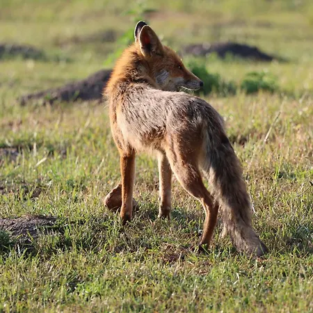 Huettchen Ganzjaehrig Nutzbar Mit Kamin&sauna Dom wakacyjny